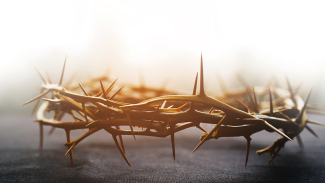 Dornenkrone als Beispielbild